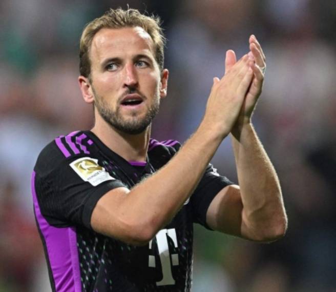 某些项目的 某些项目的